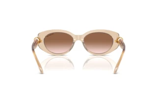 Vy bakifrån Swarovski SK6002 (103413)