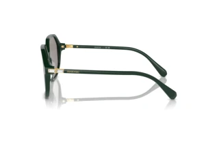 [glasses-side-view] Swarovski SK6003 (1026M3)