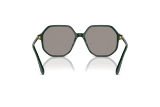 [glasses-back-view] Swarovski SK6003 (1026M3)