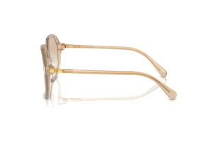 Vista lateral Swarovski SK6003 (103411)