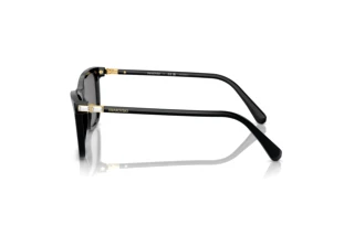 Vista lateral Swarovski SK6004 (100181)