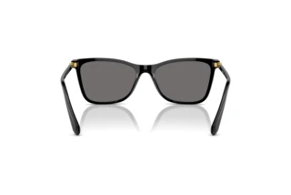 Vista posterior Swarovski SK6004 (100181)