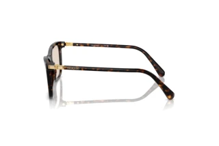 Sidovy Swarovski SK6004 (1002M4)