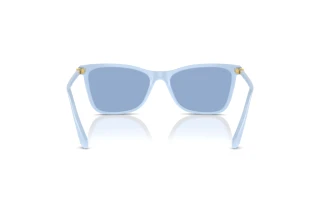 Πίσω όψη Swarovski SK6004 (10061U)