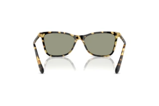 Πίσω όψη Swarovski SK6004 (1009/2)