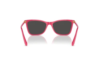 Vedere din spate Swarovski SK6004 (103687)