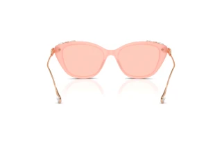 Vista posterior Swarovski SK6010 (1041/5)