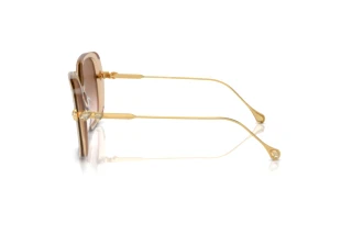 [glasses-side-view] Swarovski SK6011 (103413)