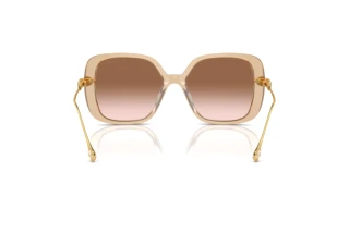 [glasses-back-view] Swarovski SK6011 (103413)