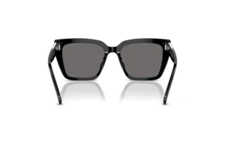 Vista posterior Swarovski SK6013 (101581)