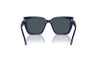 [glasses-back-view] Swarovski SK6013 (101887)