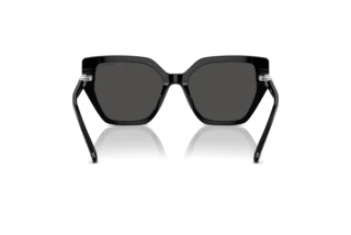 Vista posterior Swarovski SK6016 (100187)