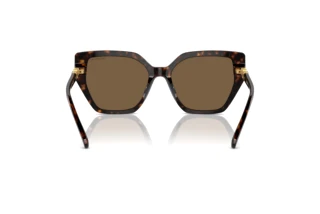 Vista posterior Swarovski SK6016 (100273)