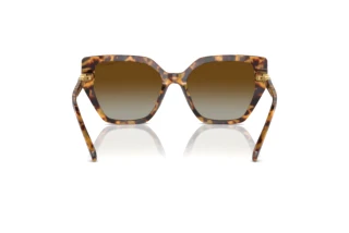 Vista posterior Swarovski SK6016 (1004T5)