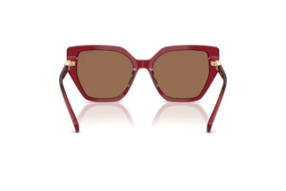 Vista posterior Swarovski SK6016 (105573)