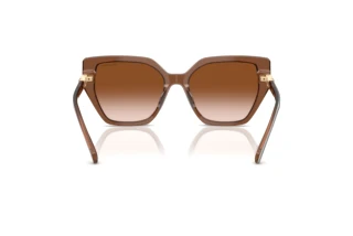 Vista posterior Swarovski SK6016 (106713)