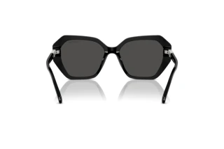 Πίσω όψη Swarovski SK6017 (100187)