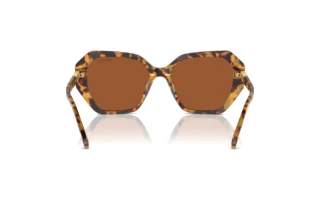 Πίσω όψη Swarovski SK6017 (100473)