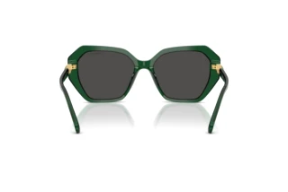 Vista posterior Swarovski SK6017 (104587)