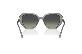 Vedere din spate Swarovski SK6017 (106211)