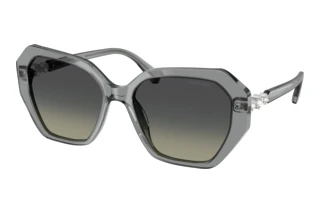 Vedere din față Swarovski SK6017 (106211)