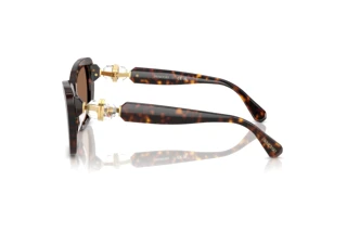 [glasses-side-view] Swarovski SK6018 (100273)