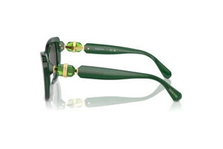 Πλευρική όψη Swarovski SK6018 (104587)