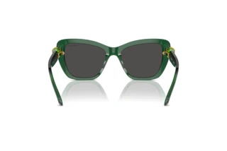 Πίσω όψη Swarovski SK6018 (104587)