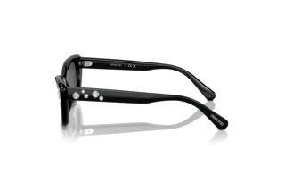 [glasses-side-view] Swarovski SK6019 (100187)
