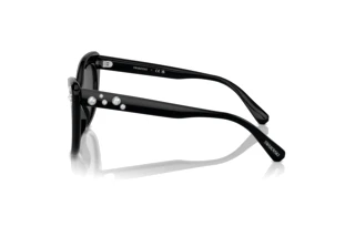 Sidovy Swarovski SK6020 (100187)