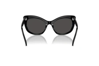 Vy bakifrån Swarovski SK6020 (100187)