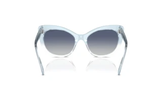 Vista posterior Swarovski SK6020 (10474L)