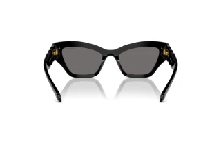 Vista posterior Swarovski SK6021 (100181)