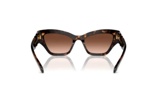 Πίσω όψη Swarovski SK6021 (10023B)