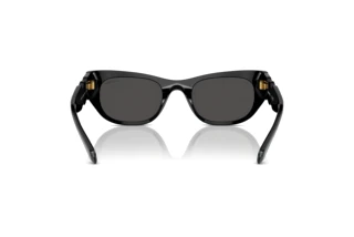 Vista posterior Swarovski SK6022 (100187)