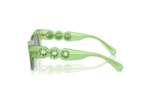 [glasses-side-view] Swarovski SK6022 (105131)