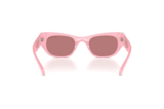 Vista posterior Swarovski SK6022 (2001E4)