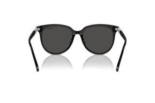 Vista posterior Swarovski SK6023D (100187)