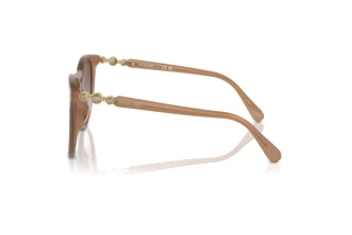 Vista lateral Swarovski SK6023D (200213)