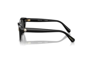 Vista lateral Swarovski SK6025 (100187)