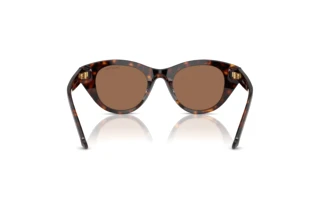 Vista posterior Swarovski SK6025 (100273)