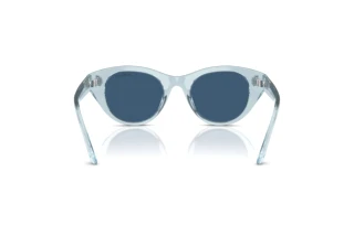 Πίσω όψη Swarovski SK6025 (106555)