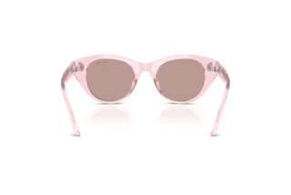 Vista posterior Swarovski SK6025 (30017N)