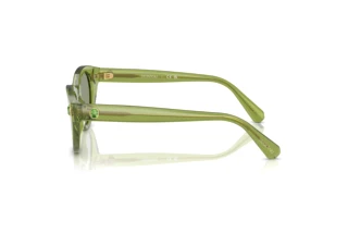 Vista lateral Swarovski SK6025 (3002/2)