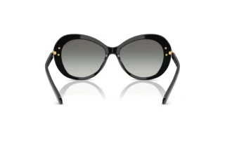 Vista posterior Swarovski SK6026 (100111)