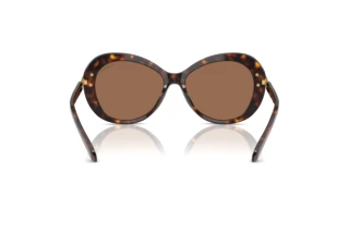 [glasses-back-view] Swarovski SK6026 (100273)