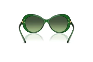 [glasses-back-view] Swarovski SK6026 (10642A)