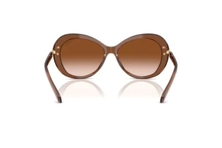 Vista posterior Swarovski SK6026 (106713)