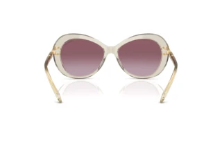 Vista posterior Swarovski SK6026 (30038H)