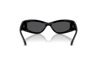 Vista posterior Swarovski SK6027 (10326G)